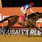 dubai world cup bet